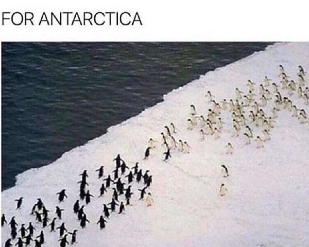 war of Antarctica(black vs white) - meme