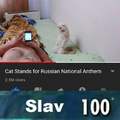 Cat stands for Russian national anthem
