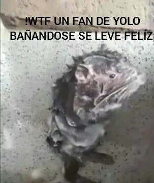 Fan de yolo bañandose se le ve feliz - meme