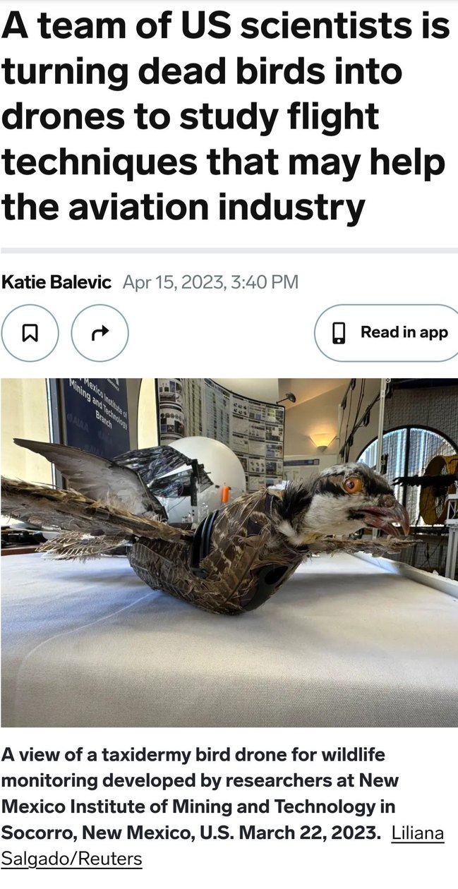 The fake bird people are on to something.... - meme
