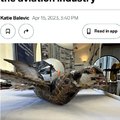 The fake bird people are on to something....