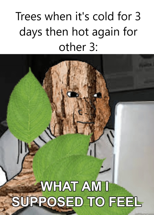 Trees during Fall - meme