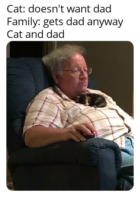 Cat and dad meme