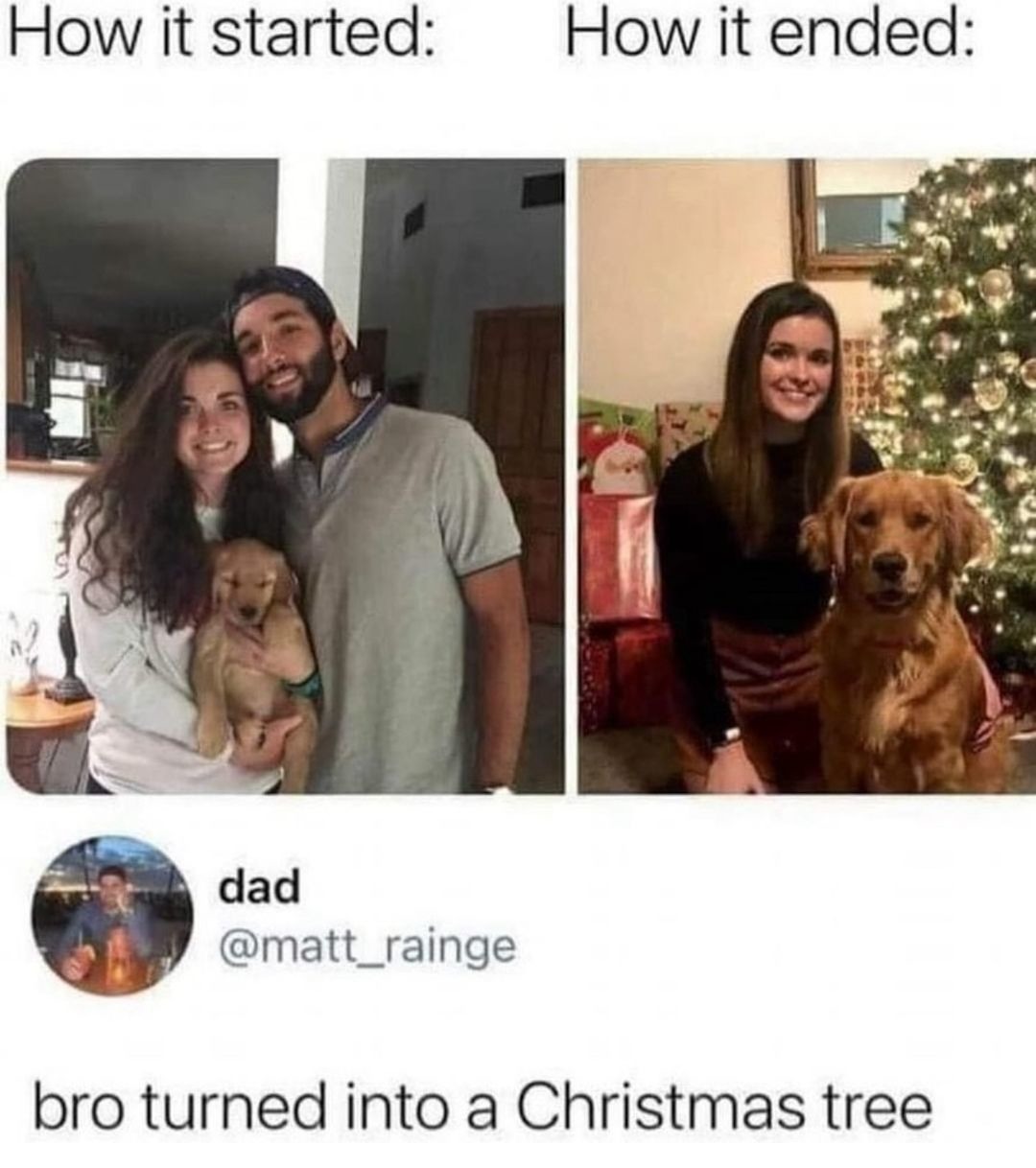I'm just happy she kept the dog - meme