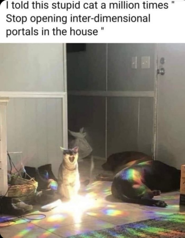Meowch - meme