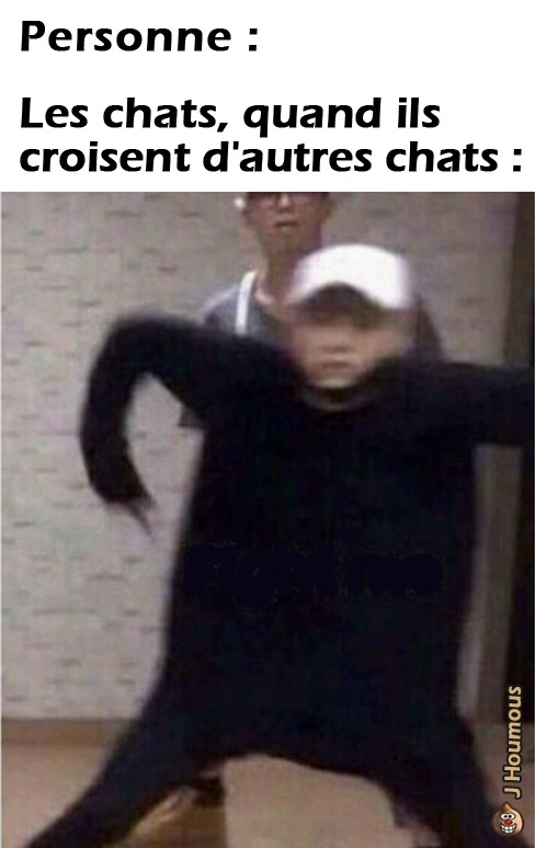 Impressionnant - meme