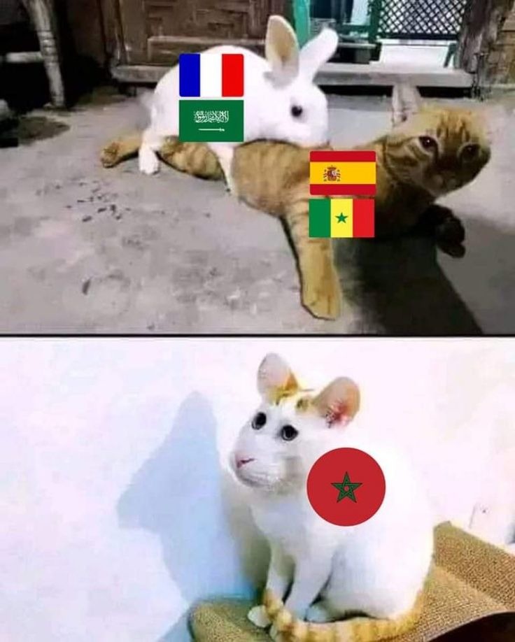 Contexto - meme