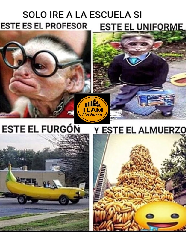 ESCUELA PACHORRIANA - meme