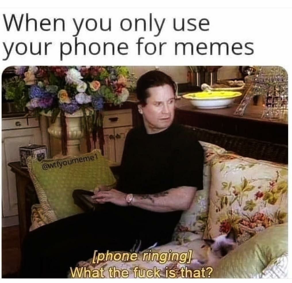 Phone rings mid-meme scroll and I panic
