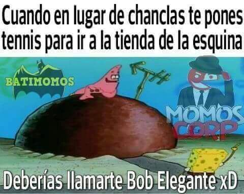 Bob elegante - meme