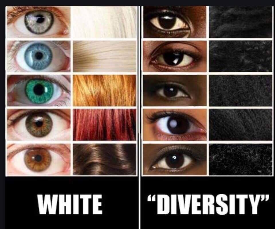 dongs in a diversity - meme