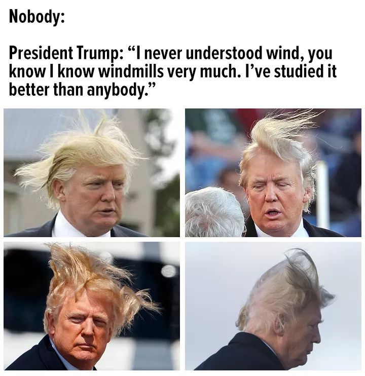 Windmill - meme