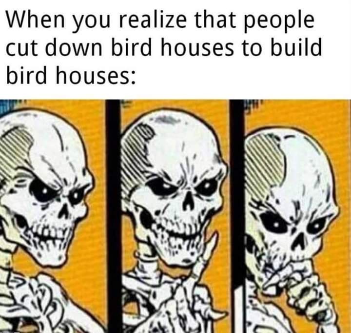 bird - meme
