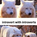 Introvert meme