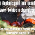 Elephant Joke