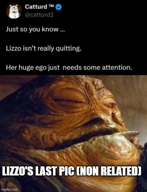 Lizzo quits music! - meme