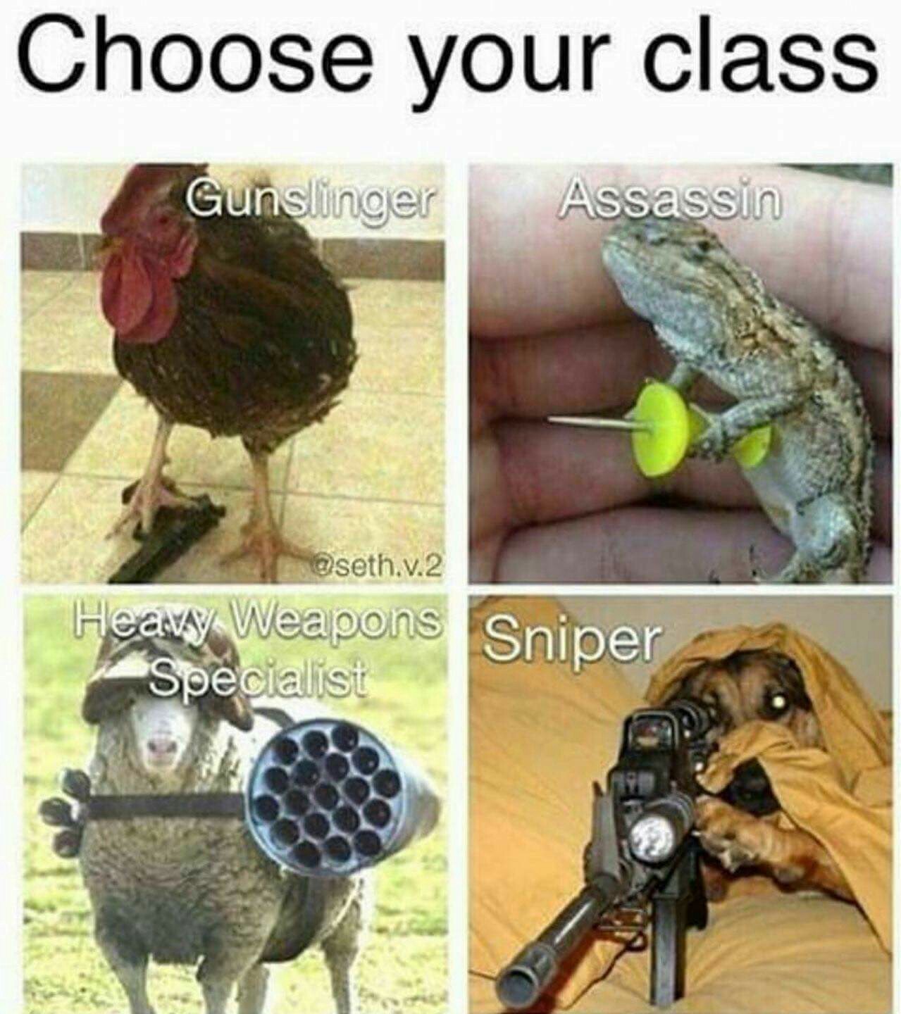 Which one would you pick? - meme