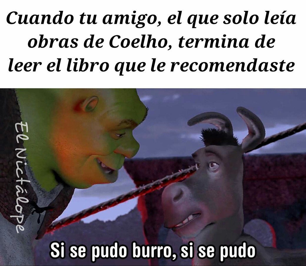 Coelho - meme