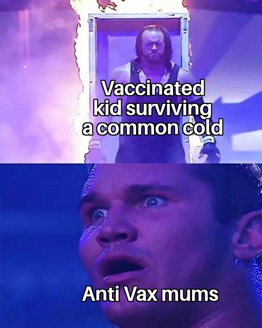 Anti vax mums - meme
