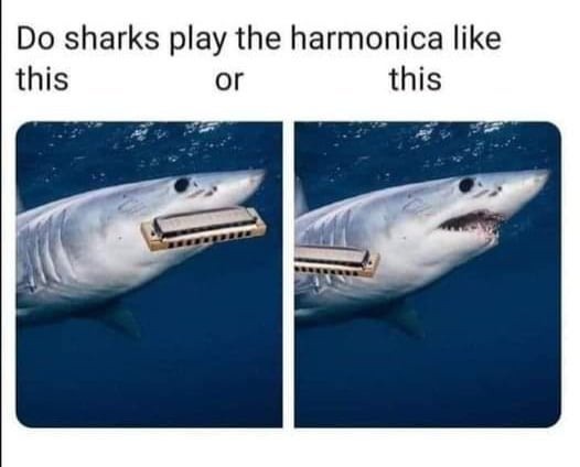 How do sharks play the harmonica? - meme