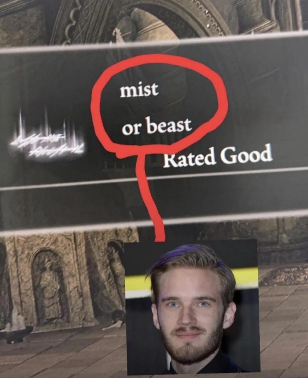 es el mister bis :0 - meme
