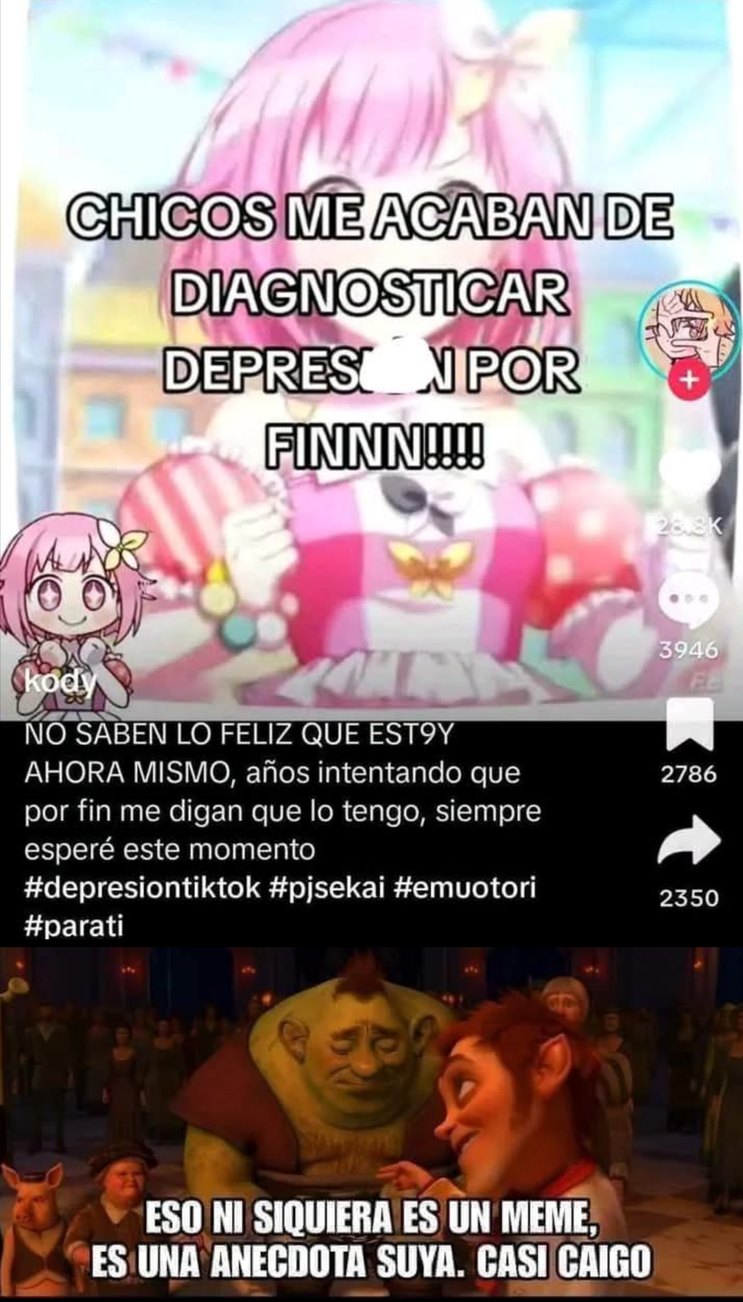 Será que finge? Será que es real? No todo es bait, alguno tiene que ser mongólico de verdad - meme