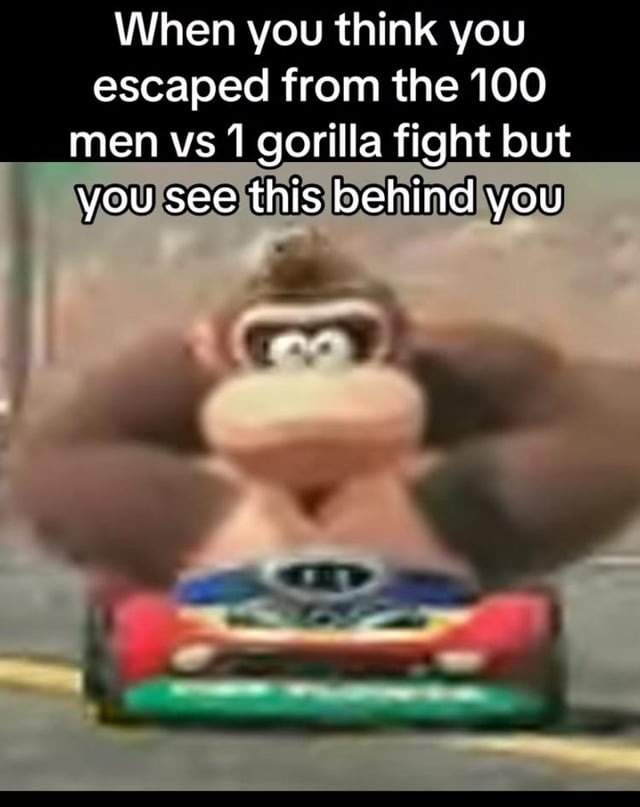 Thought I escaped the 100v1 gorilla match, but he respawned - meme
