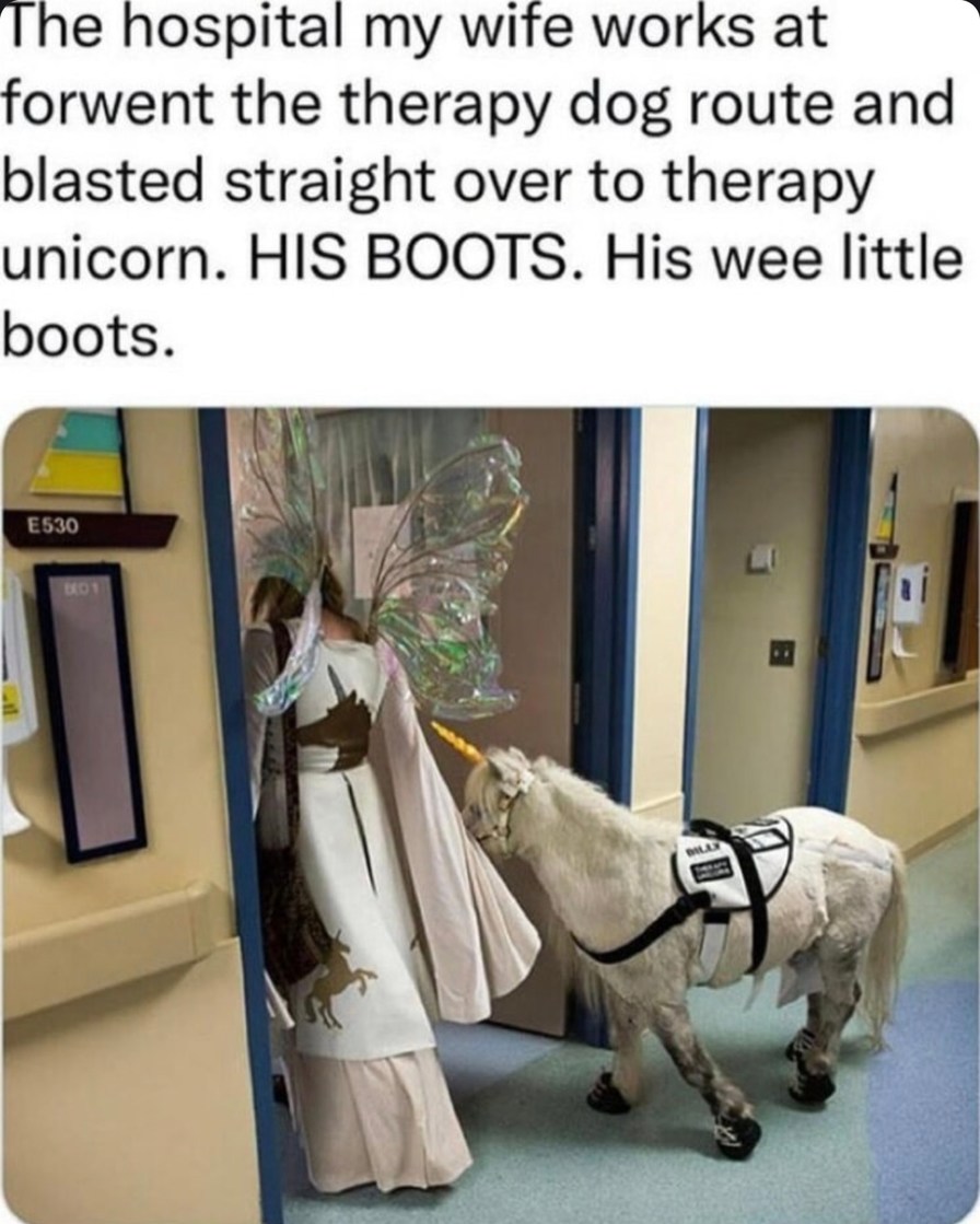 Hospital skipped therapy dog and summoned a unicorn - meme