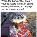 badger badger badger badger badger badger badger badger badger badger badger badger mushroom mushroom
