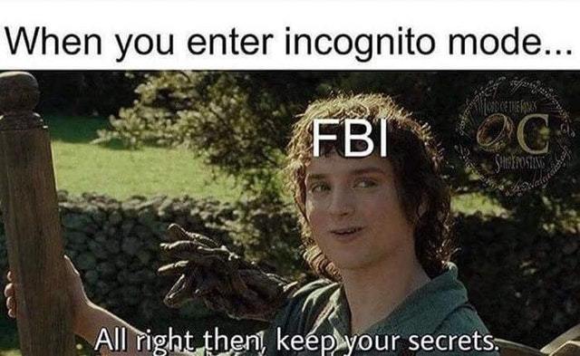 FBI can't track you on incognito mode - meme