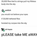 tethered flies