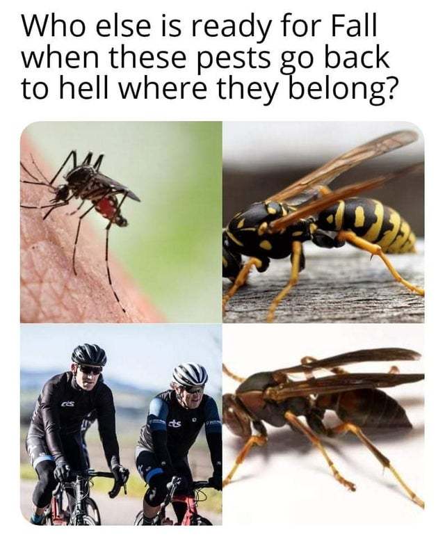 Who else is ready for fall when these pests go back to hell where they belong? - meme