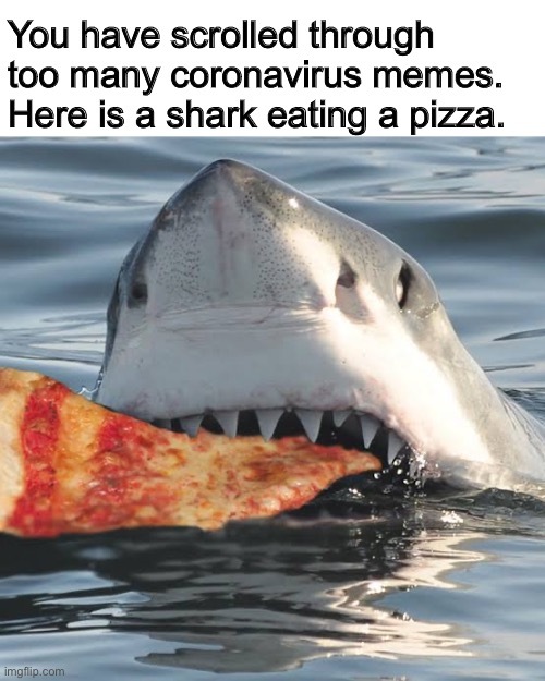 Corona Pizza - meme