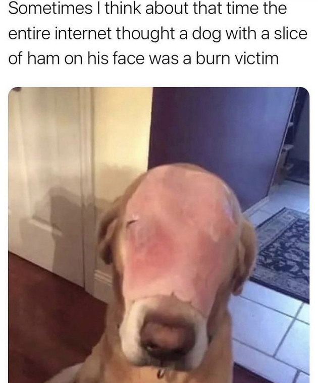 Meat - meme
