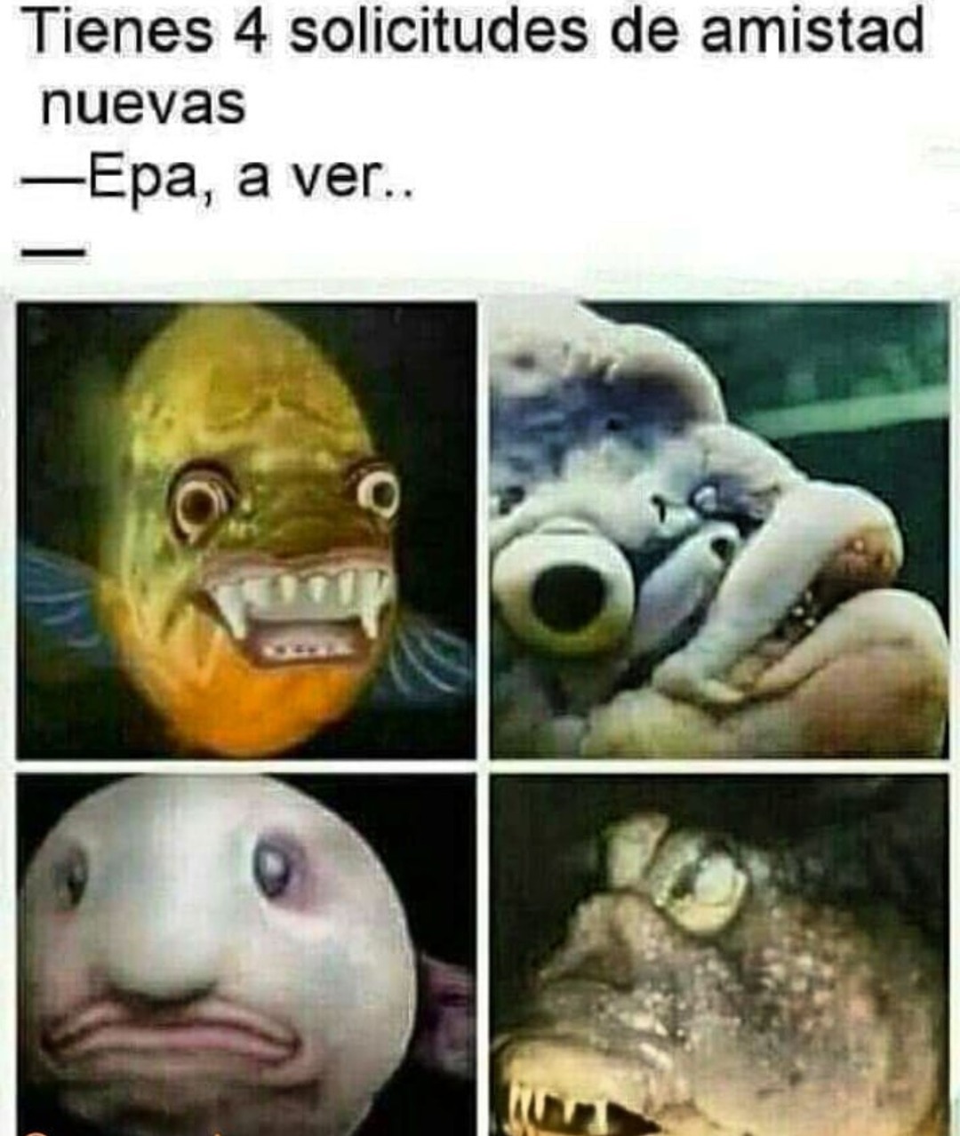 puro pinche monstruo de vieja quiere andar conmigo alv - meme