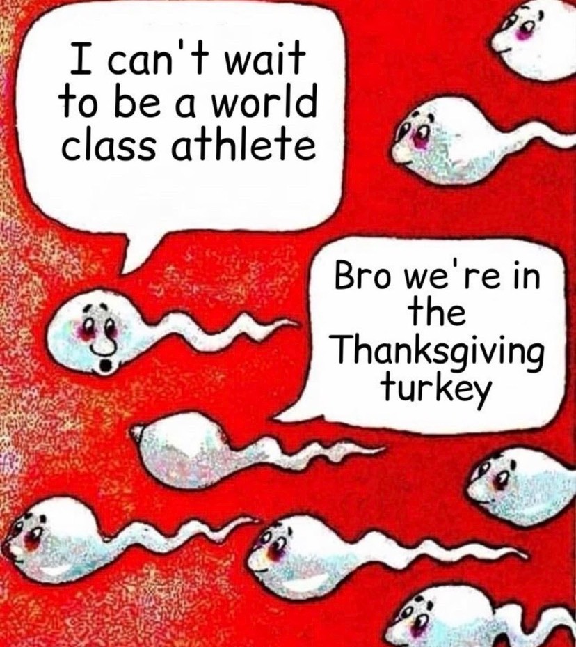 I love stuffing the turkey - meme