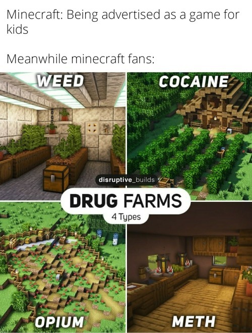 minecraft is cool tho - meme