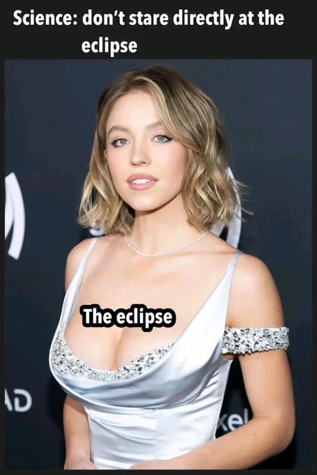 Don't stare directly at the eclipse - meme