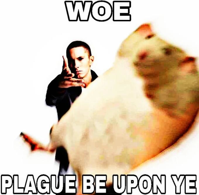 Woe plague be upon ye meme