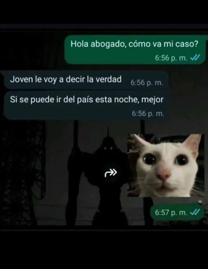 Pd: Se fue a Tayikistán - meme