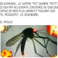 El mosco