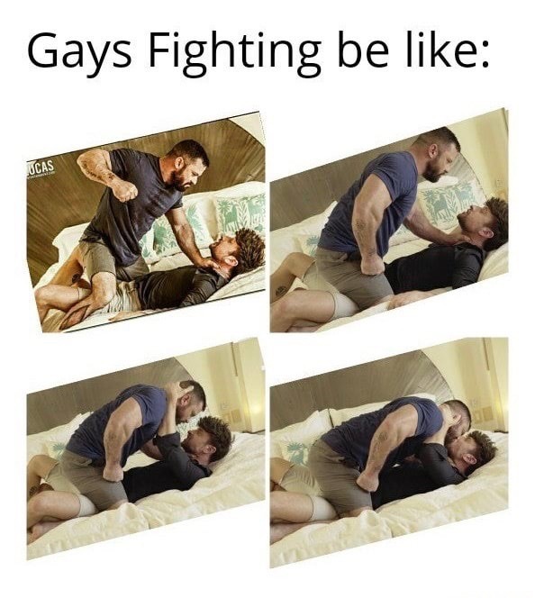 Stupid gays - meme