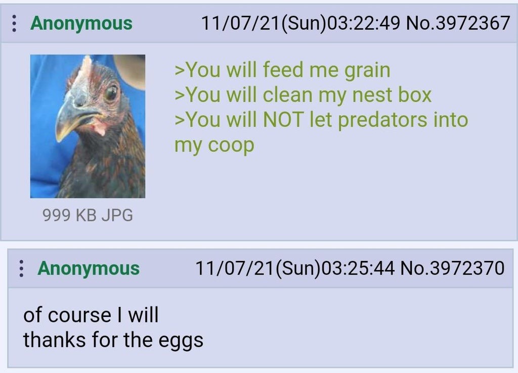eggs - meme
