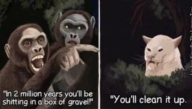 Evolution really did cats dirty huh - meme