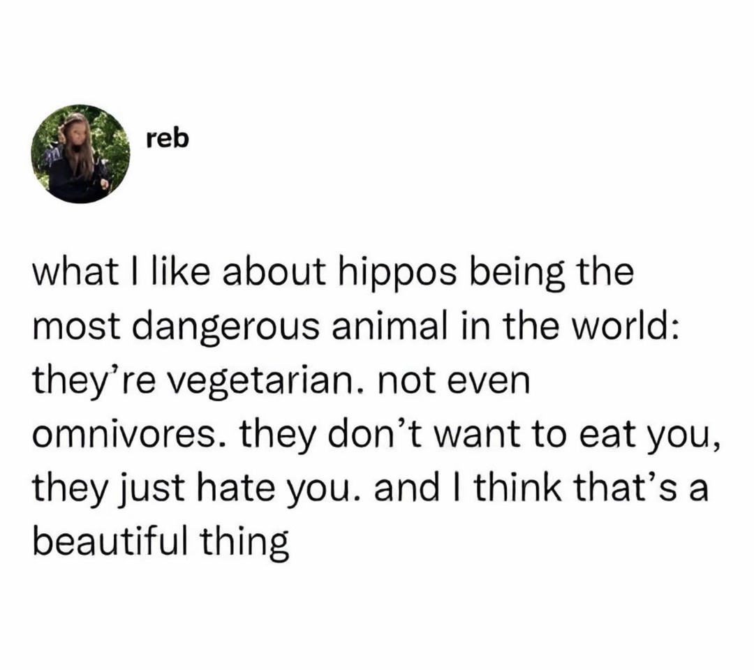 ﻿reb what | like about hippos being the most dangerous animal in the world: they’re vegetarian: not even omnivores. they don’t want to eat you, they just hate you: and | think that’s a beautiful thing
