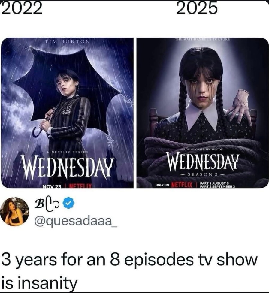 3 years for 8 episodes is Netflix speedrun hell - meme