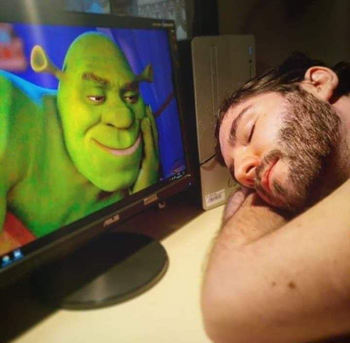On se sent tous en sécurité avec Shrek - meme