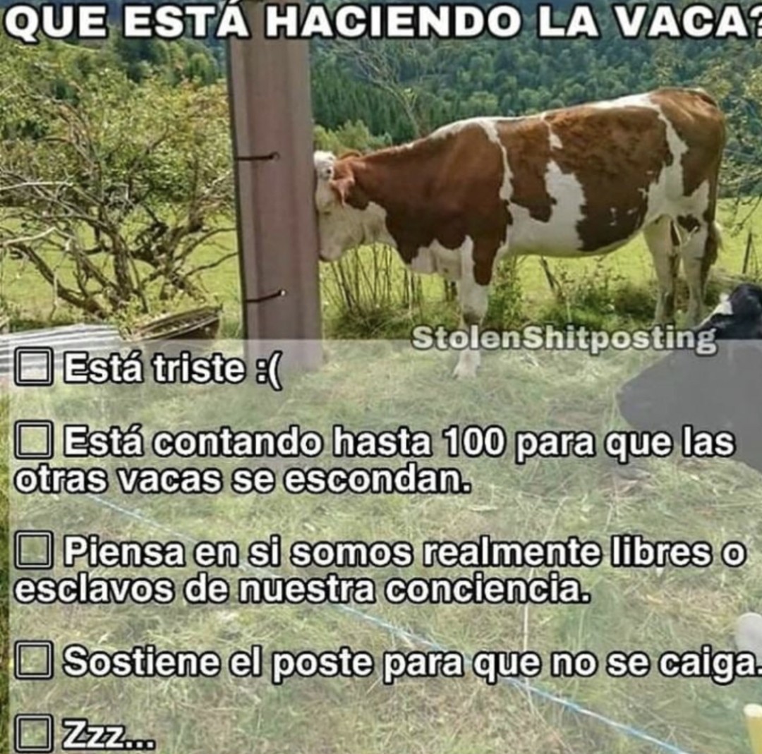 Vaca Triste :( - Meme Subido Por Akillez250 :) Memedroid