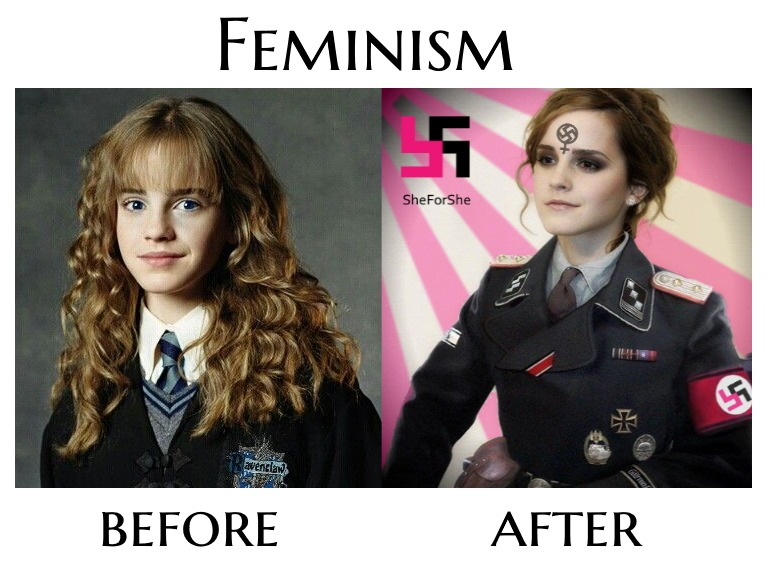 Feminism Before & AFter - meme