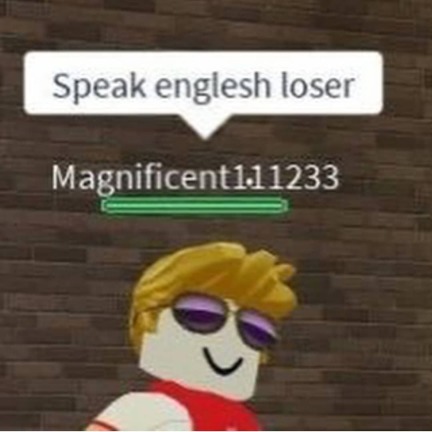 speak englesh loser - meme